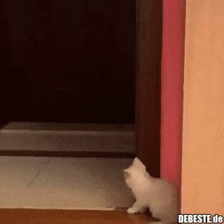 Na warte, Dich erschreck ich!