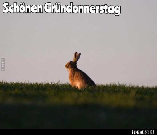 Schönen Gründonnerstag!.. - Lustige Bilder | DEBESTE.de