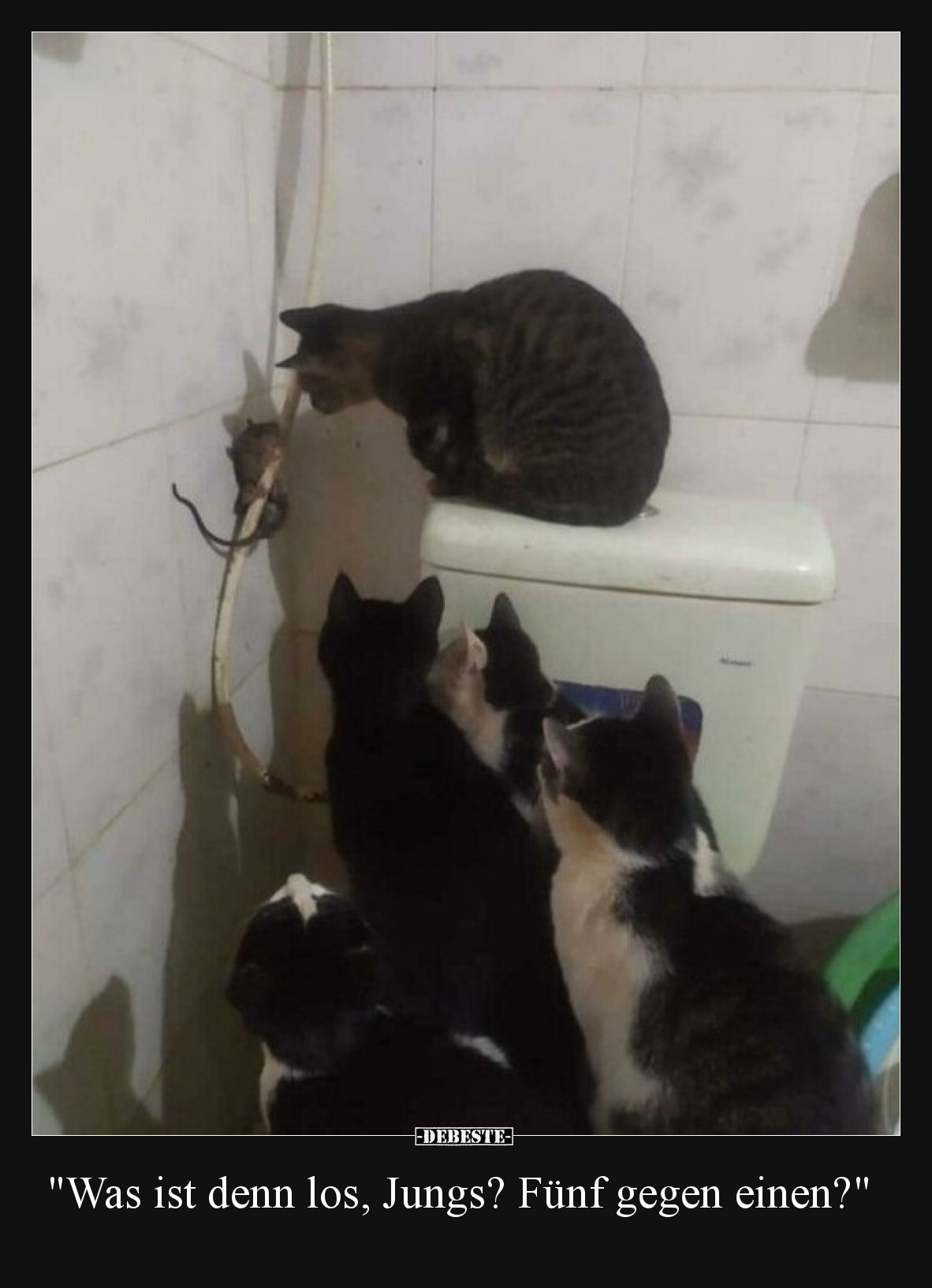"Was ist denn los, Jungs? Fünf gegen einen?"