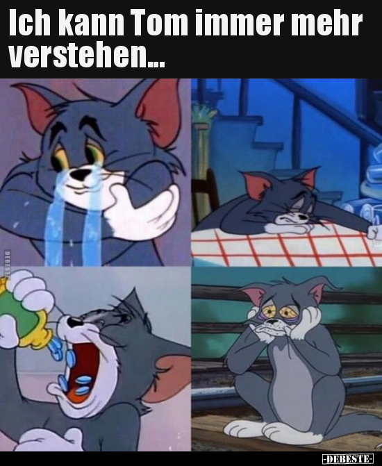 Ich kann Tom immer mehr 
verstehen...