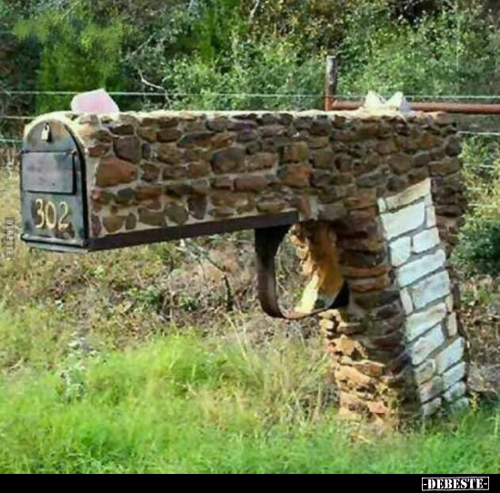  - Lustige Bilder | DEBESTE.de