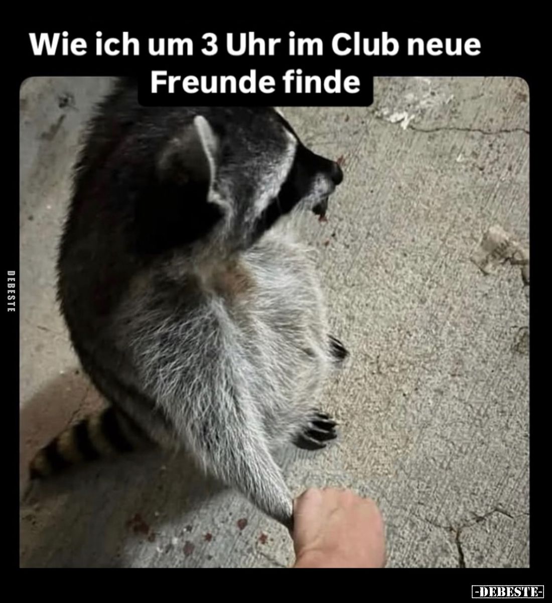 Wie ich um 3 Uhr im Club neue Freunde finde.