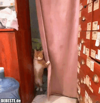 Was gibts? - Lustige Bilder | DEBESTE.de