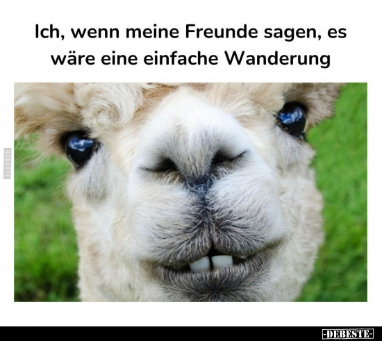 Ich, wenn meine Freunde sagen, es wäre eine einfache Wanderung.. - Lustige Bilder | DEBESTE.de