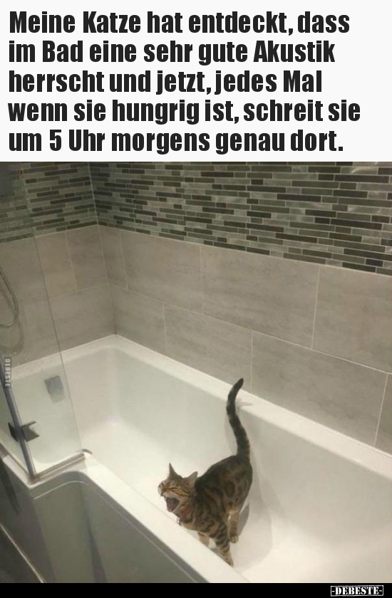 Meine Katze hat entdeckt, dass im Bad eine sehr gute.. - Lustige Bilder | DEBESTE.de