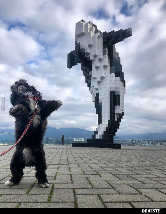  - Lustige Bilder | DEBESTE.de