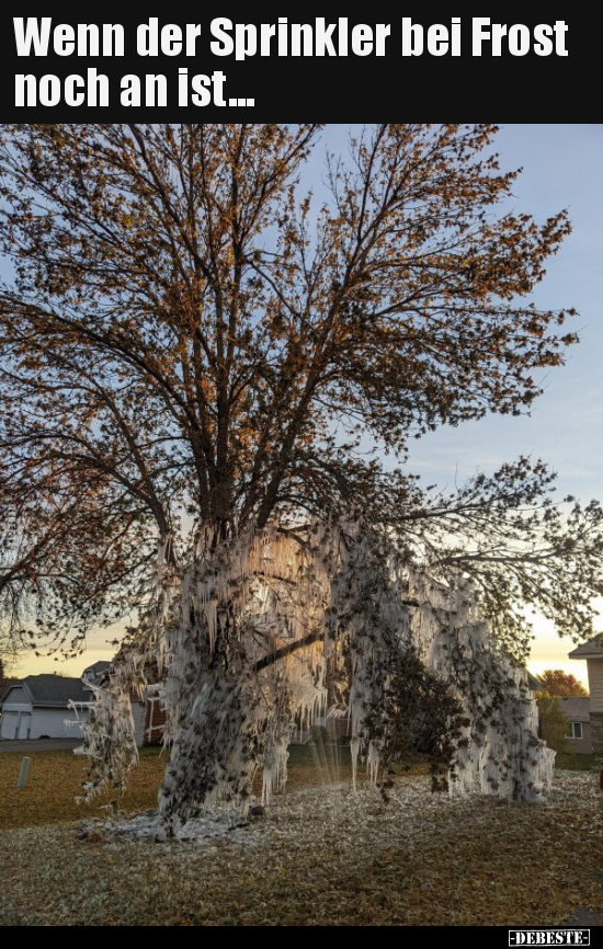 Wenn der Sprinkler bei Frost noch an ist... - Lustige Bilder | DEBESTE.de