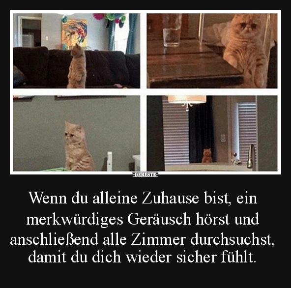 Wenn du alleine Zuhause bist.. - Lustige Bilder | DEBESTE.de