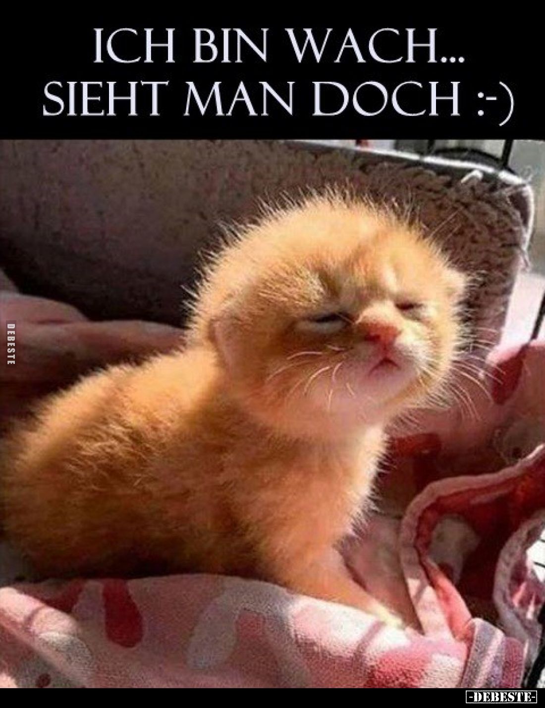 Ich bin wach... - Lustige Bilder | DEBESTE.de