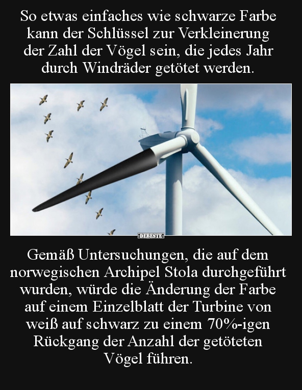 So etwas einfaches wie schwarze Farbe kann der Schlüssel..