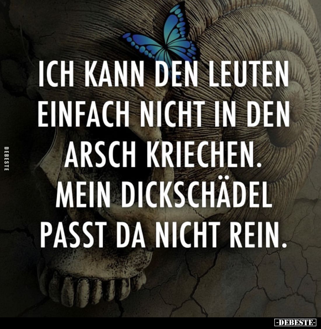 Ich kann den Leuten einfach nicht in den Arsch kriechen. Mein Dickschädel passt das einfach nicht rein.