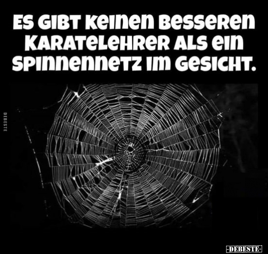Es gibt keinen besseren Karatelehrer als ein Spinnennetz im.. - Lustige Bilder | DEBESTE.de