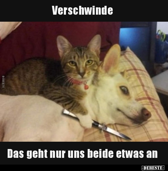 Verschwinde... Das geht nur uns beide etwas an..