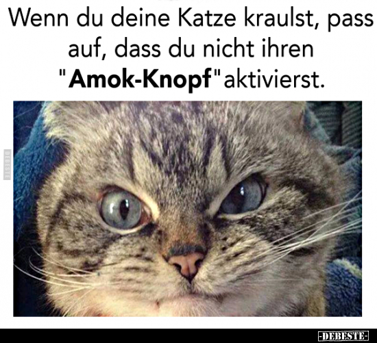 Wenn du deine Katze kraulst, pass auf, dass du nicht.. - Lustige Bilder | DEBESTE.de