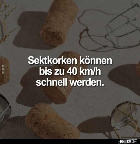 Sektkorken können bis zu 40 km/h schnell werden... - Lustige Bilder | DEBESTE.de