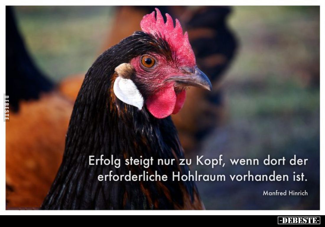 Erfolg steigt nur zu Kopf, wenn dort der erforderliche Hohlraum vorhanden ist.