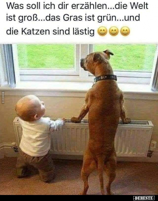 Was soll ich dir erzählen...die Welt ist groß...das Gras..