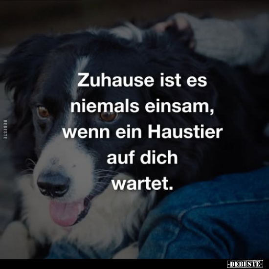 Zuhause ist es niemals einsam.. - Lustige Bilder | DEBESTE.de