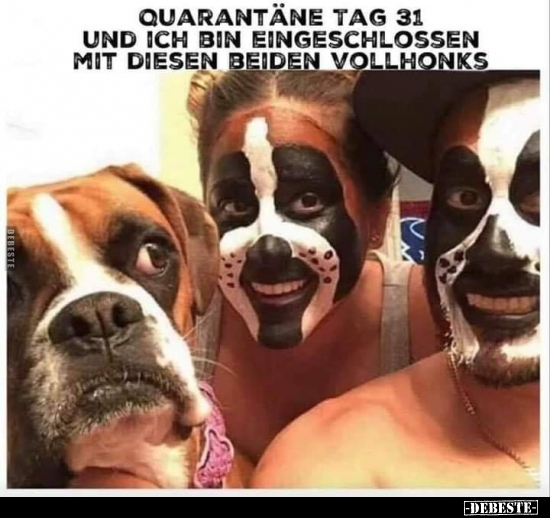 Quarantäne Tag 31..