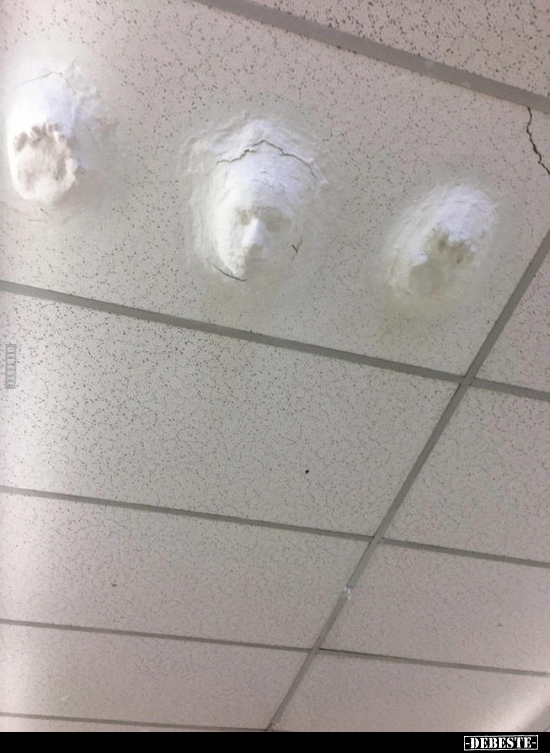  - Lustige Bilder | DEBESTE.de