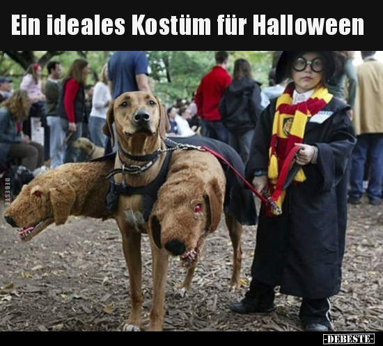 Ein ideales Kostüm für Halloween.. - Lustige Bilder | DEBESTE.de