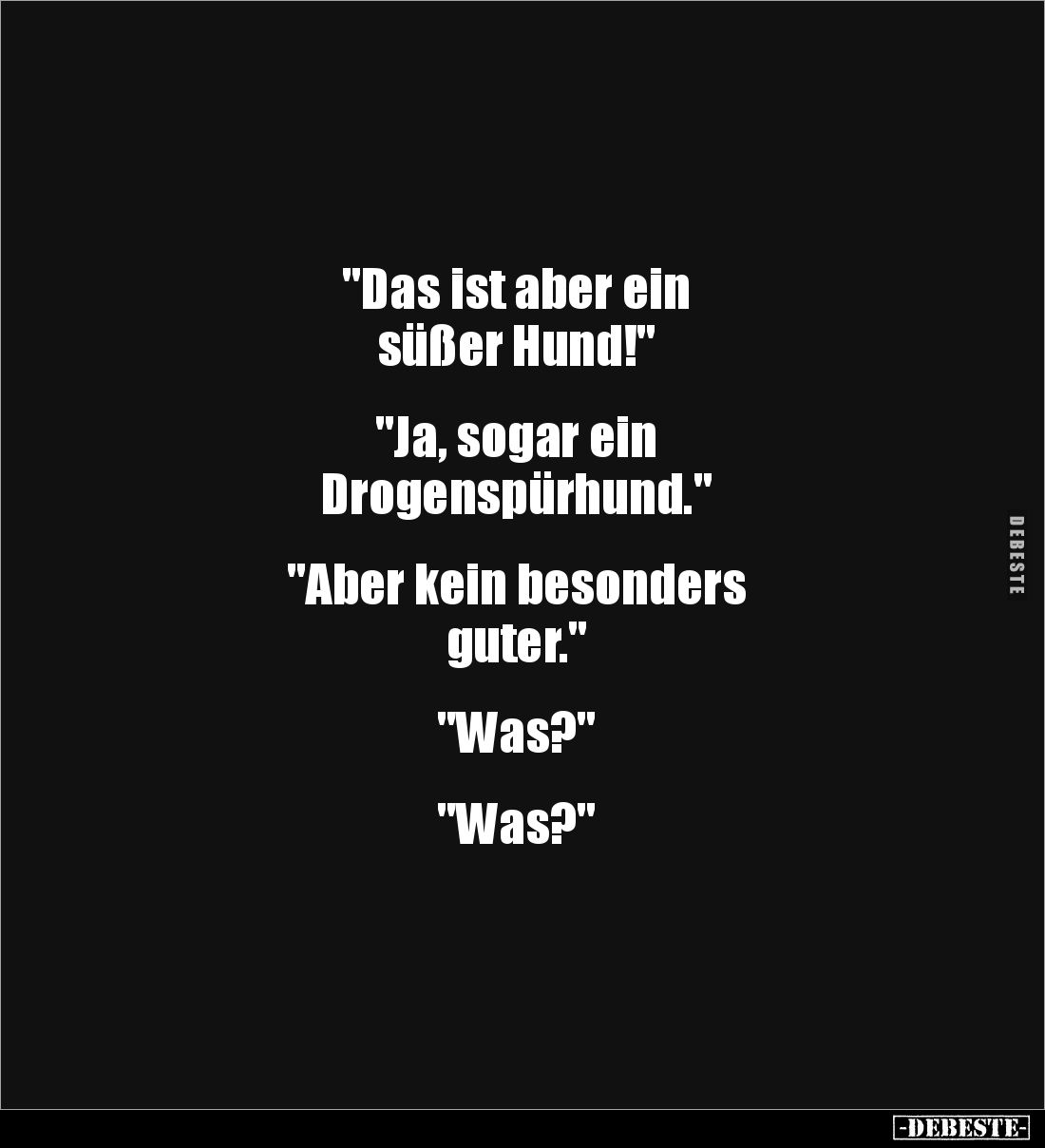 "Das ist aber ein
süßer Hund!"
"Ja, sogar ein
Drogenspürhund."
"Aber kein besonders
...