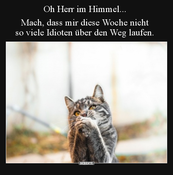 Oh Herr im Himmel... Mach, dass mir diese Woche nicht so.. - Lustige Bilder | DEBESTE.de