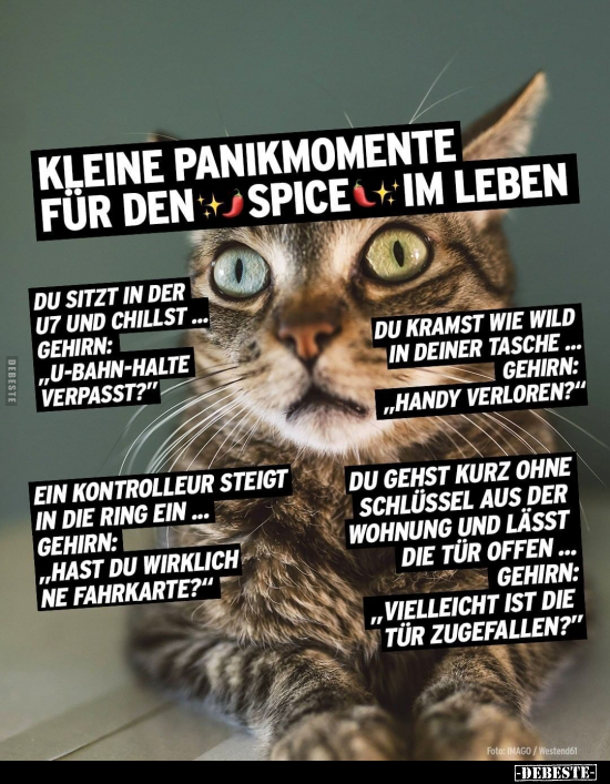 Kleine Panikmomente für den Spice im Leben.. - Lustige Bilder | DEBESTE.de