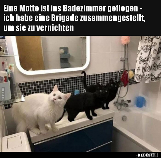 Eine Motte ist ins Badezimmer geflogen - ich habe eine.. - Lustige Bilder | DEBESTE.de