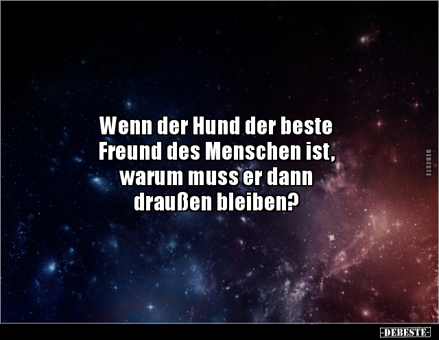 Wenn der Hund der beste Freund des Menschen ist, warum.. - Lustige Bilder | DEBESTE.de