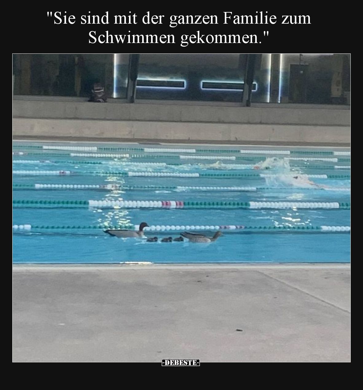 "Sie sind mit der ganzen Familie zum Schwimmen.." - Lustige Bilder | DEBESTE.de
