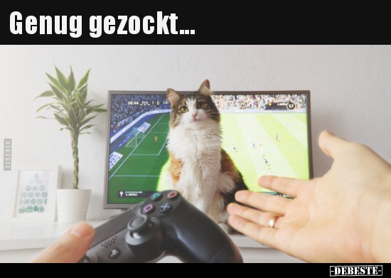 Genug gezockt...