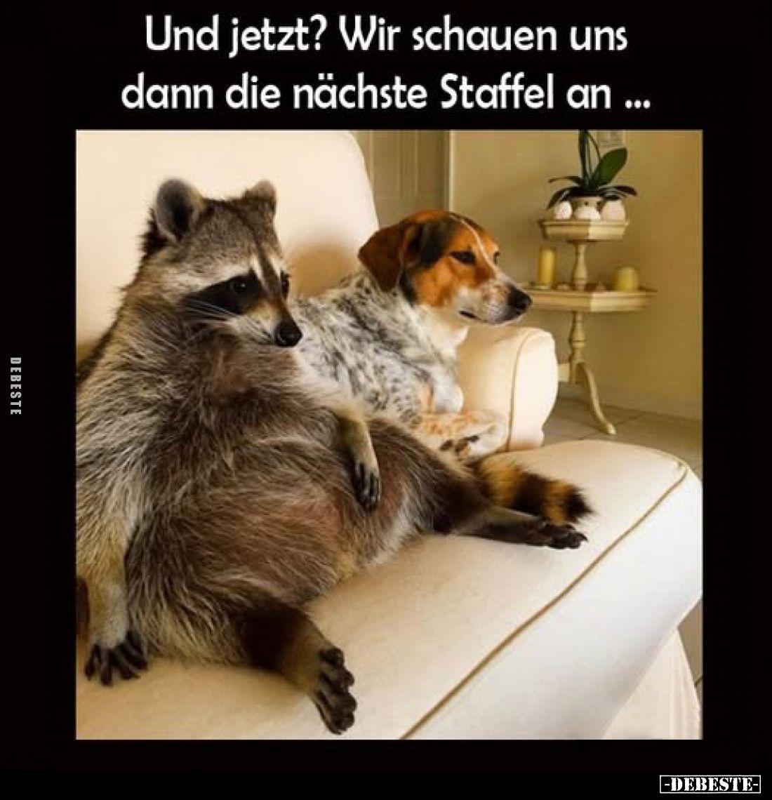 Und jetzt?
Wir schauen uns dann die nächste Staffel an ...
