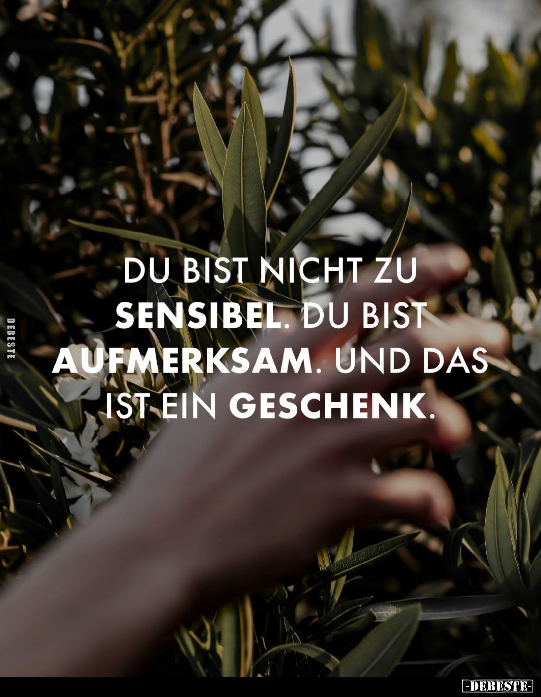 Du bist nicht zu sensibel. Du bist aufmerksam. Und das ist ein Geschenk.