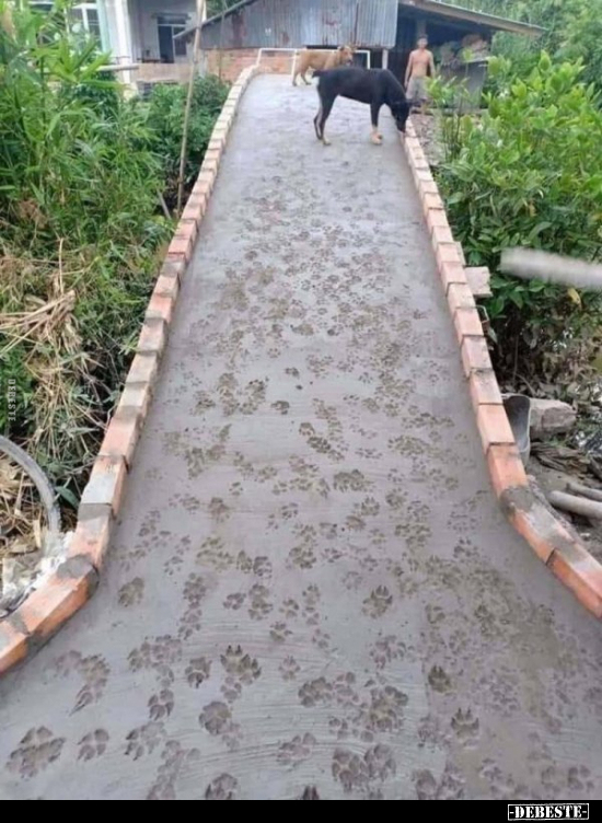  - Lustige Bilder | DEBESTE.de