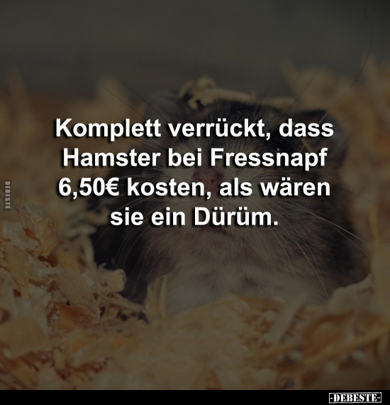 Komplett verrückt, dass Hamster bei Fressnapf 6,50€ kosten.. - Lustige Bilder | DEBESTE.de