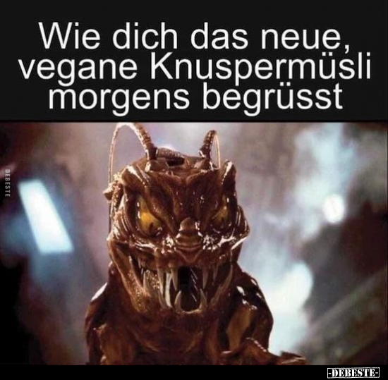 Wie dich das neue, vegane Knuspermüsli morgens begrüsst.. - Lustige Bilder | DEBESTE.de