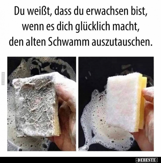 Du weißt, dass du erwachsen bist, wenn es dich glücklich.. - Lustige Bilder | DEBESTE.de