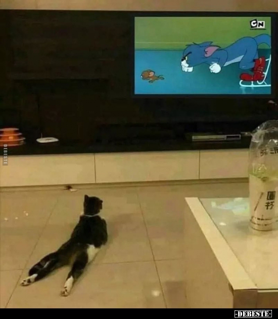  - Lustige Bilder | DEBESTE.de