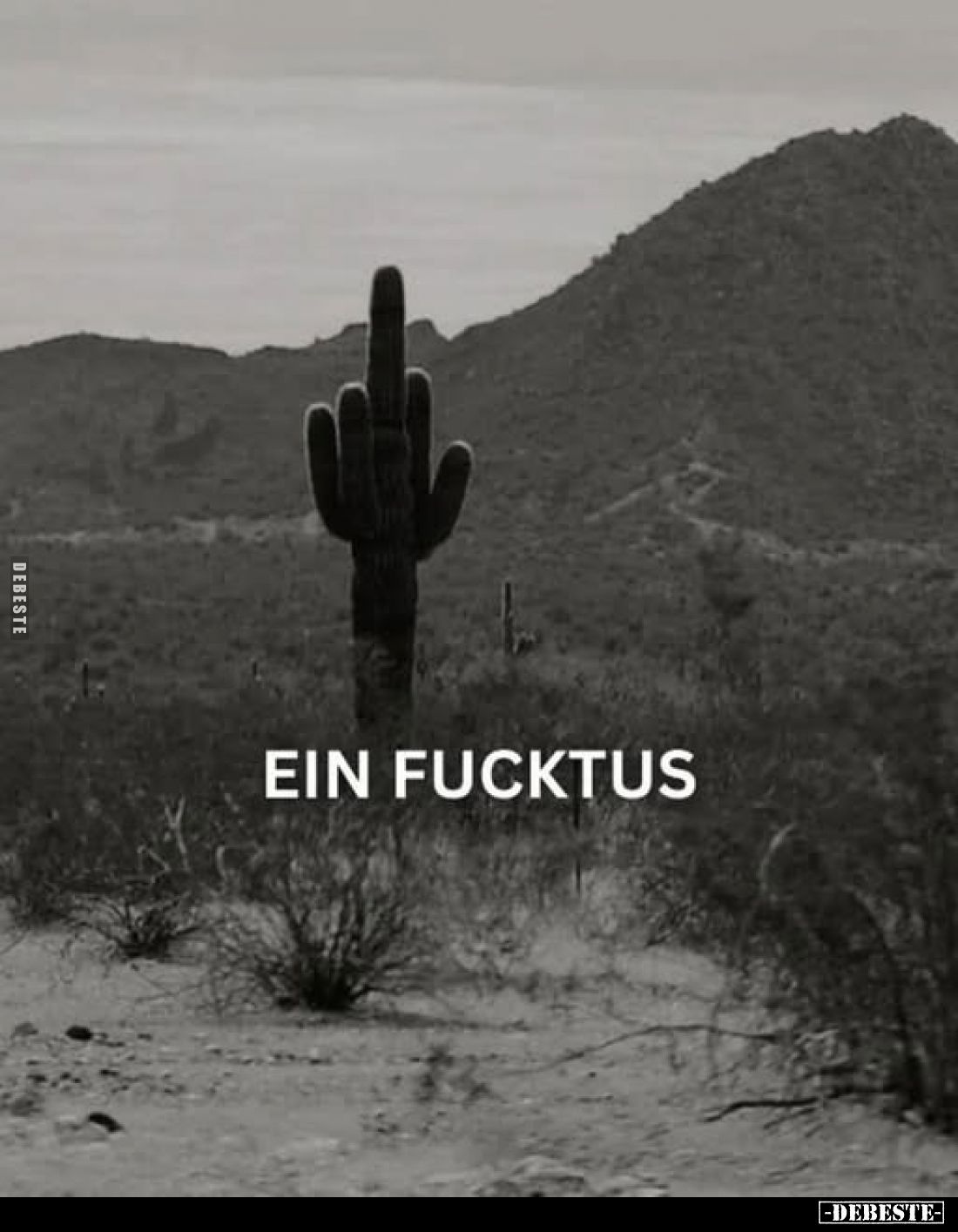  - Lustige Bilder | DEBESTE.de