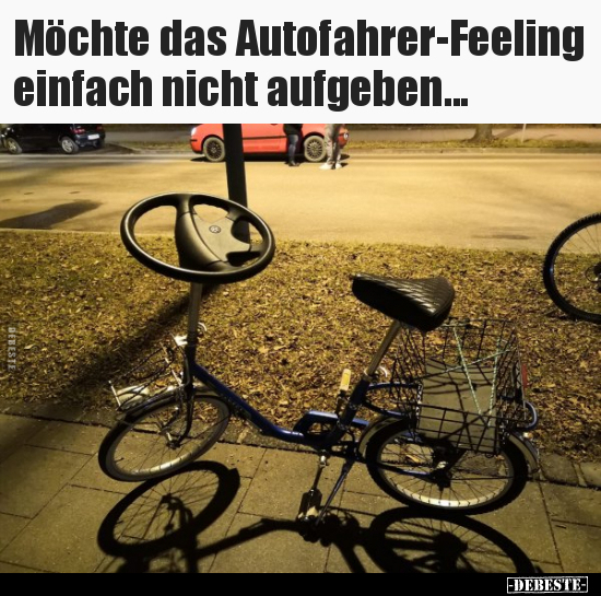 Möchte das Autofahrer-Feeling einfach nicht aufgeben... - Lustige Bilder | DEBESTE.de