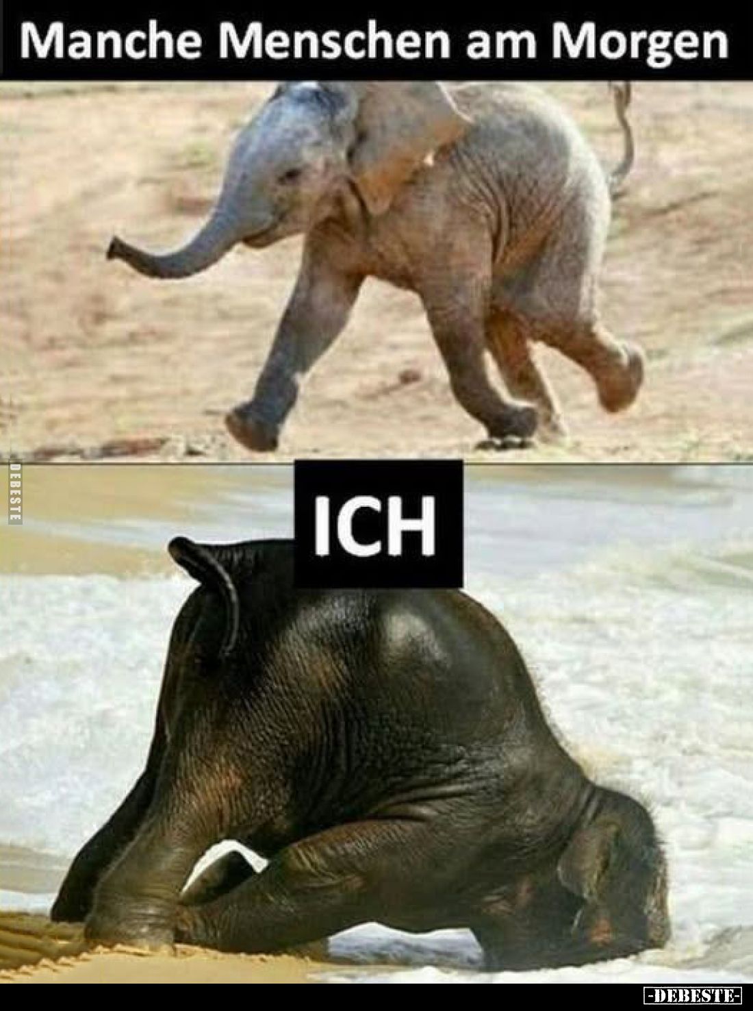 Manche Menschen am Morgen und ich.. - Lustige Bilder | DEBESTE.de