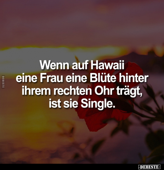 Wenn auf Hawaii eine Frau eine Blüte hinter ihrem rechten.. - Lustige Bilder | DEBESTE.de