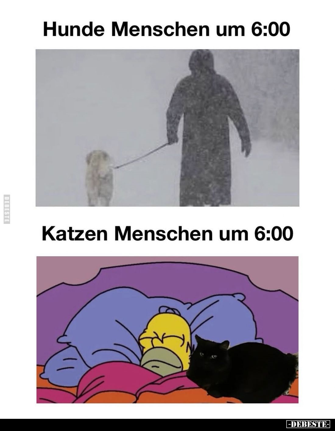 Hunde Menschen um 6:00
-
Katzen Menschen um 6:00