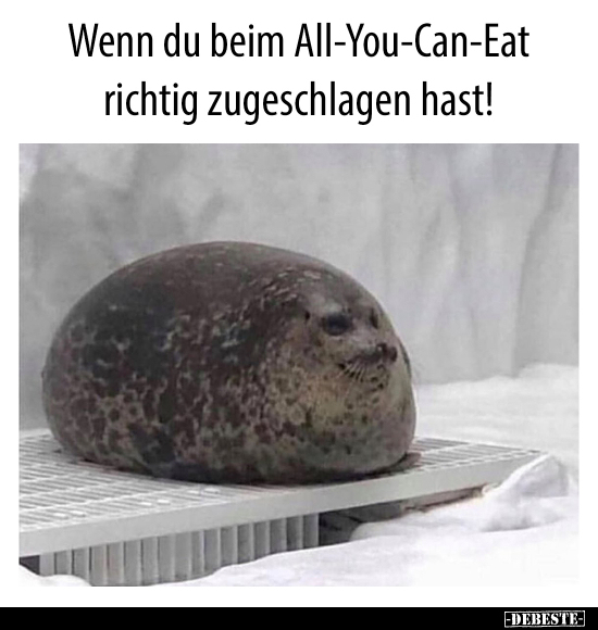 Wenn du beim All-You-Can-Eat richtig zugeschlagen hast!.. - Lustige Bilder | DEBESTE.de