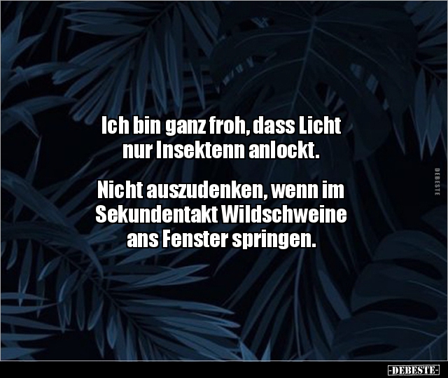 Ich bin ganz froh, dass Licht nur Insektenn.. - Lustige Bilder | DEBESTE.de