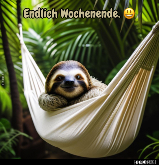 Endlich Wochenende.. - Lustige Bilder | DEBESTE.de