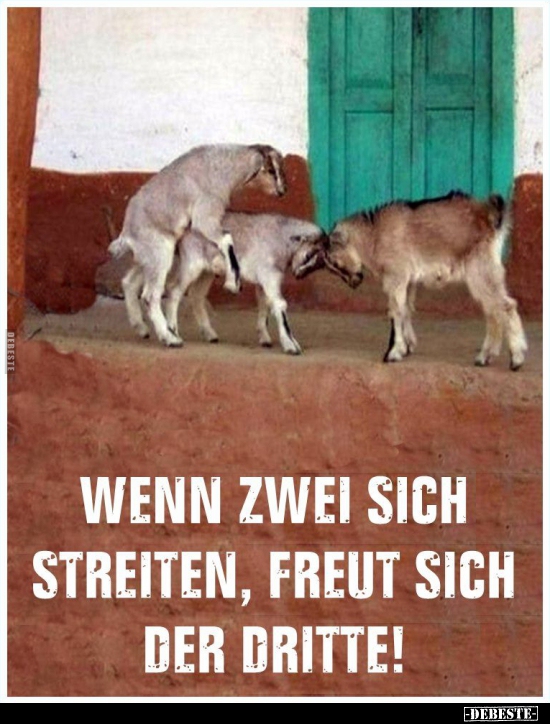 Wenn zwei sich streiten, freut sich der Dritte!.. - Lustige Bilder | DEBESTE.de