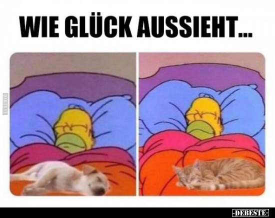 Wie Glück aussieht.. - Lustige Bilder | DEBESTE.de