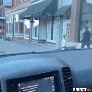 Die Hunde verhalten sich seltsam..